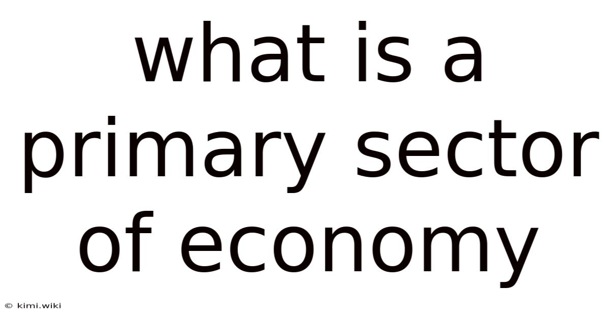 What Is A Primary Sector Of Economy