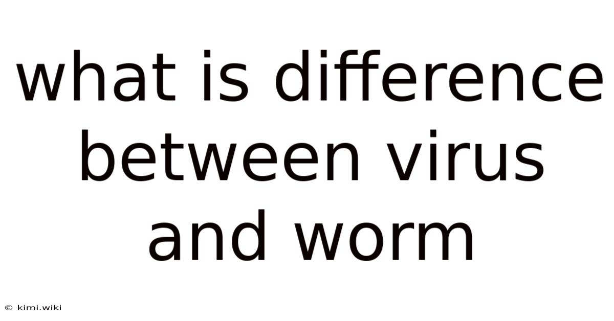 What Is Difference Between Virus And Worm