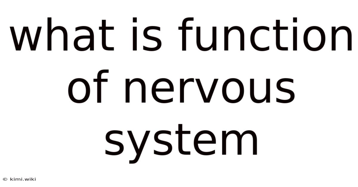 What Is Function Of Nervous System