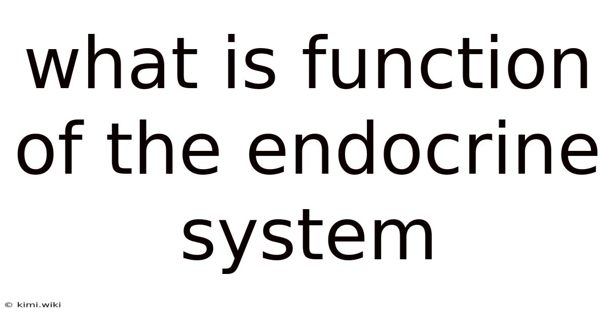 What Is Function Of The Endocrine System
