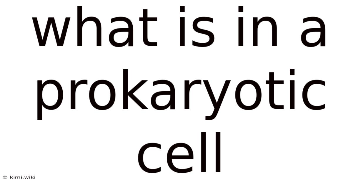What Is In A Prokaryotic Cell