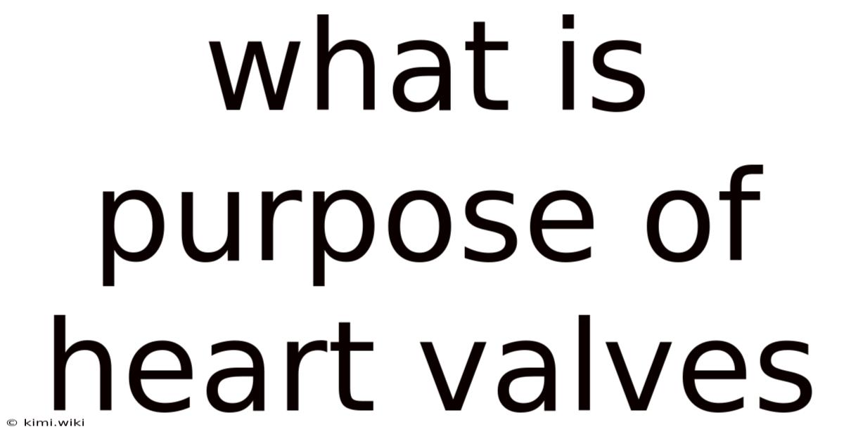 What Is Purpose Of Heart Valves