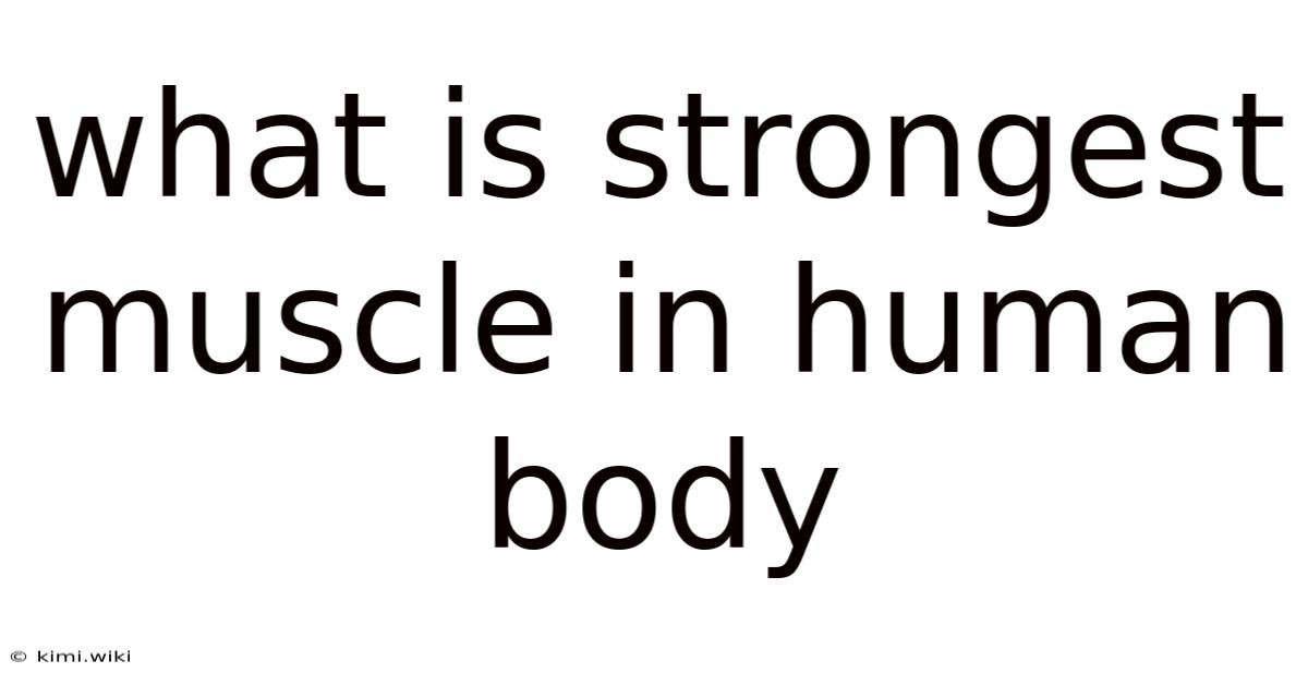 What Is Strongest Muscle In Human Body