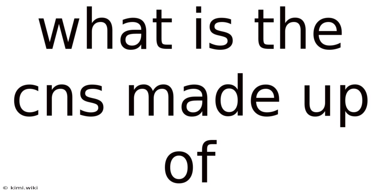 What Is The Cns Made Up Of