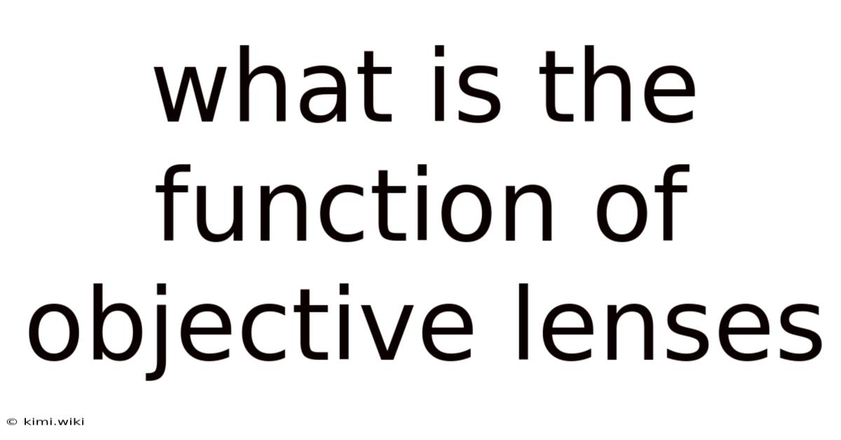What Is The Function Of Objective Lenses