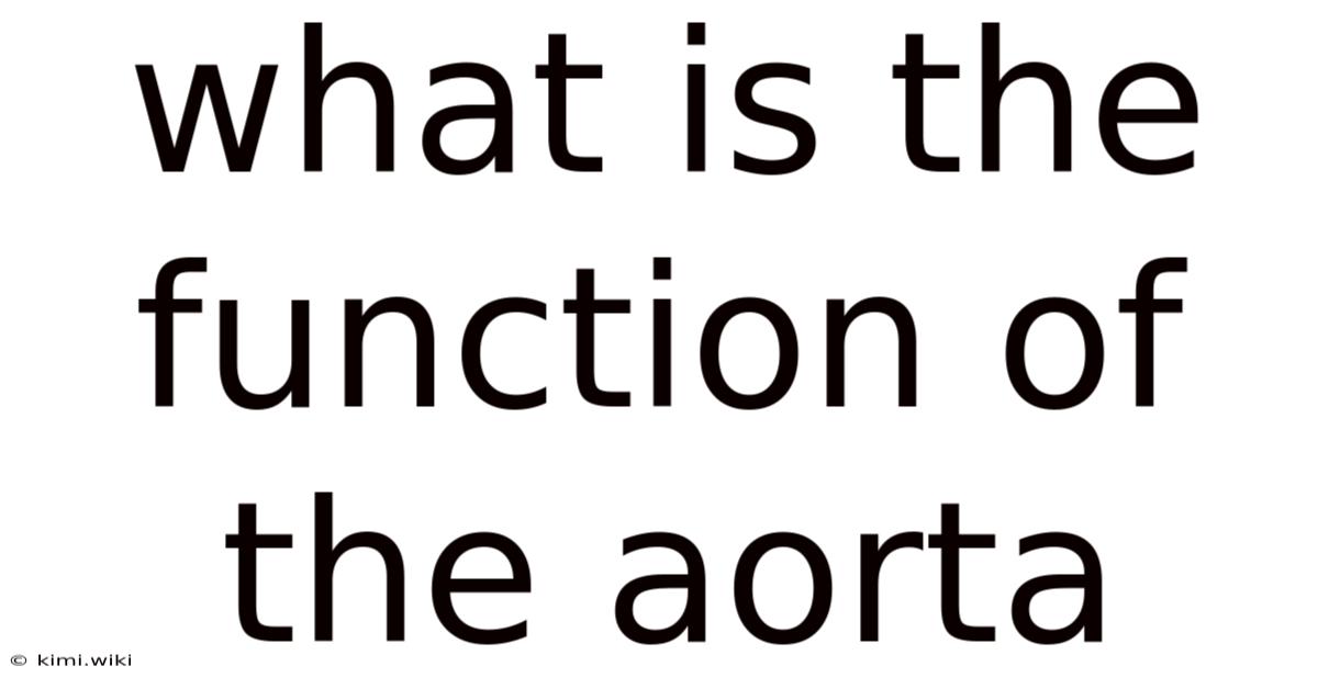 What Is The Function Of The Aorta