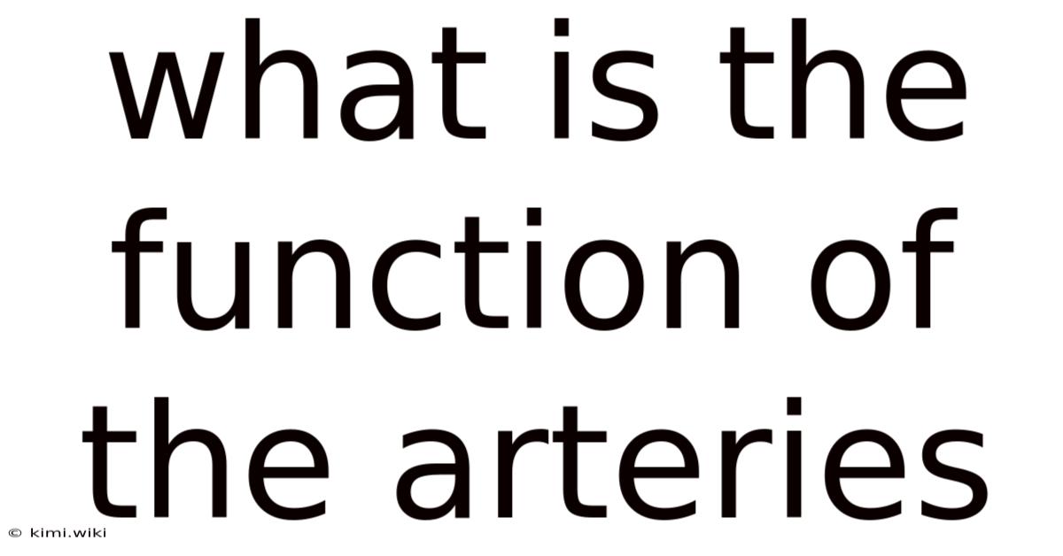 What Is The Function Of The Arteries