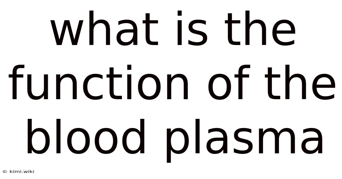 What Is The Function Of The Blood Plasma