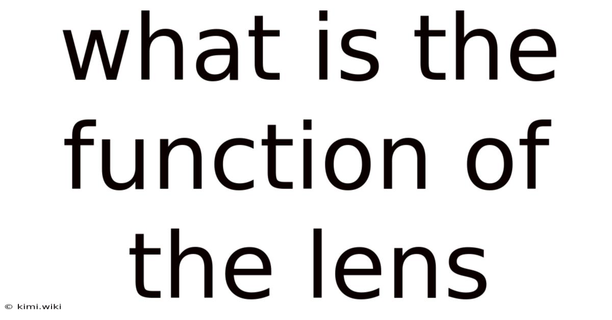 What Is The Function Of The Lens