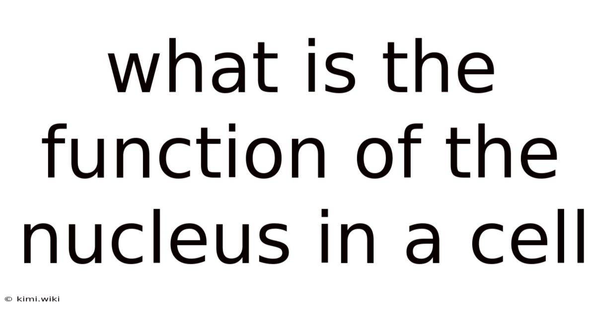 What Is The Function Of The Nucleus In A Cell
