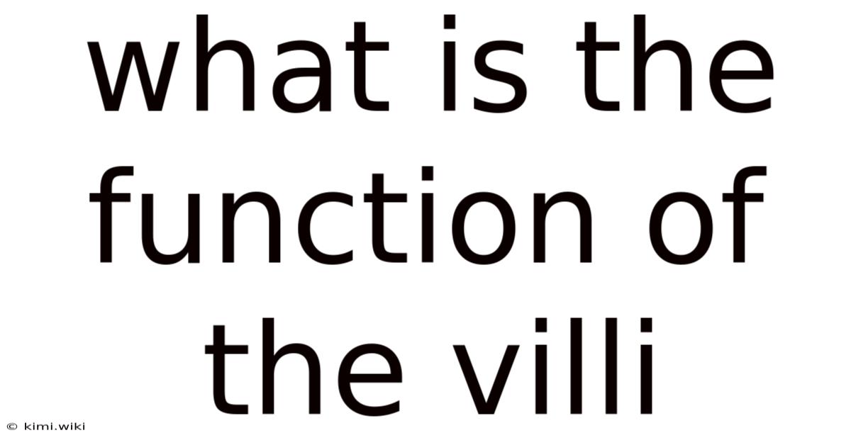 What Is The Function Of The Villi