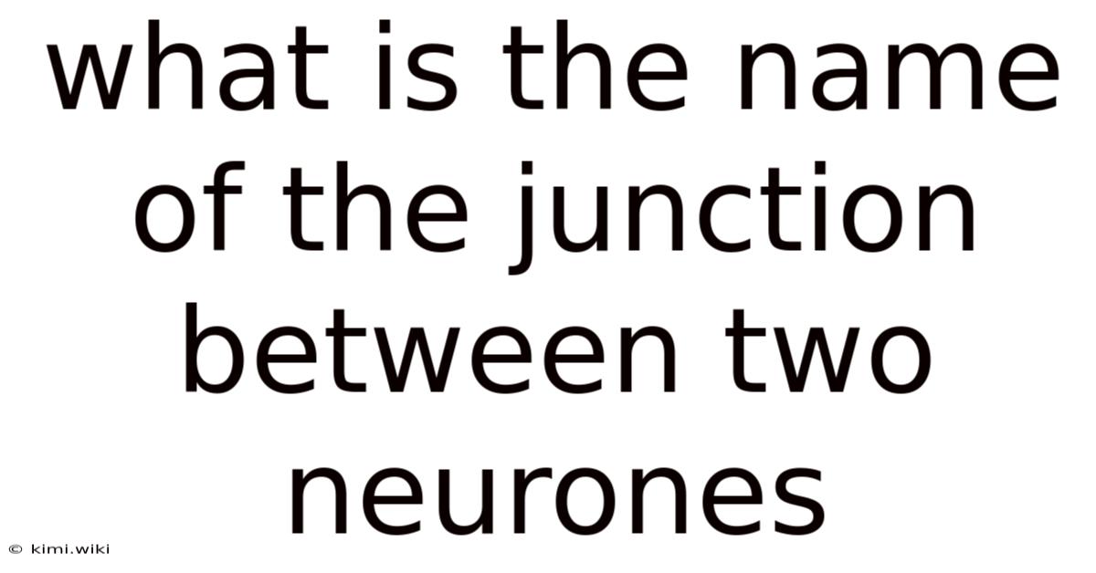 What Is The Name Of The Junction Between Two Neurones