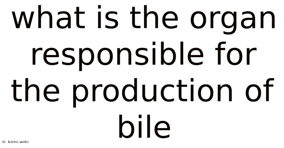 What Is The Organ Responsible For The Production Of Bile