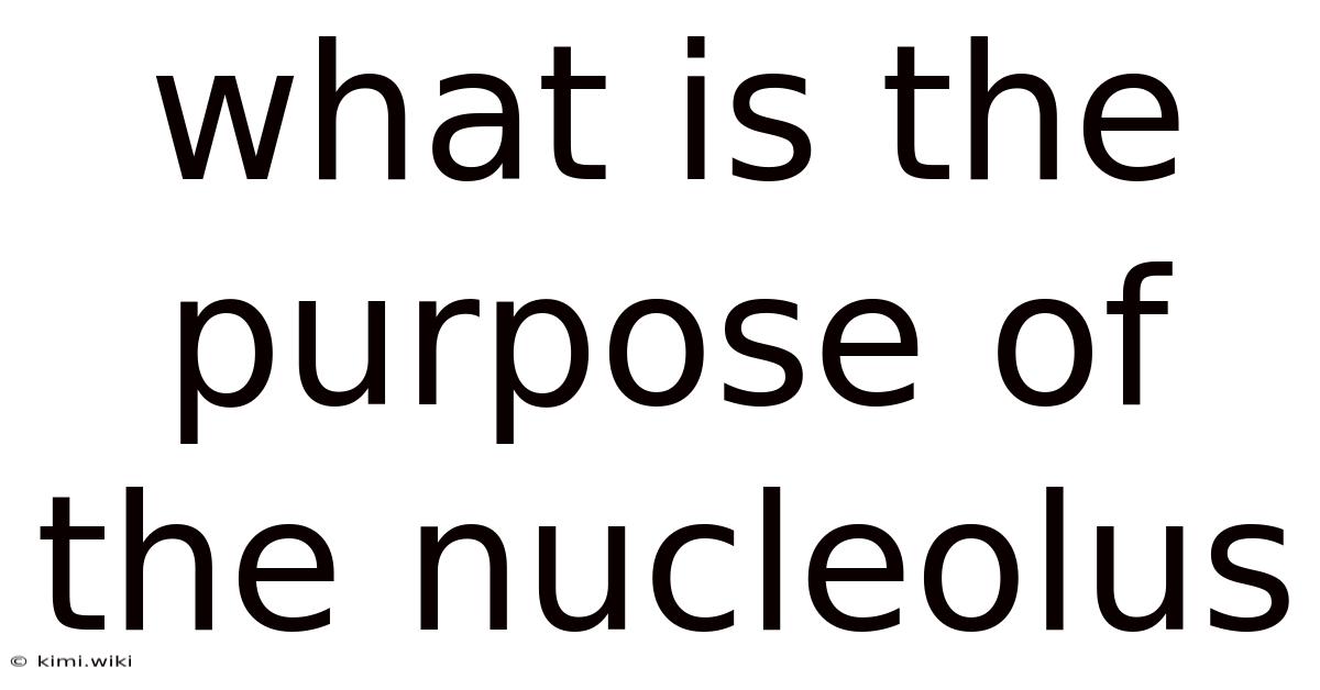 What Is The Purpose Of The Nucleolus