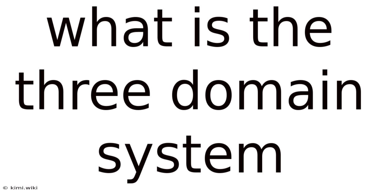 What Is The Three Domain System