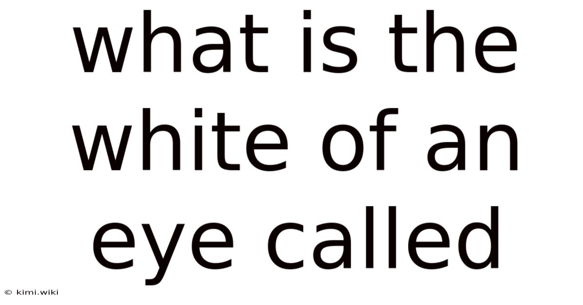 What Is The White Of An Eye Called