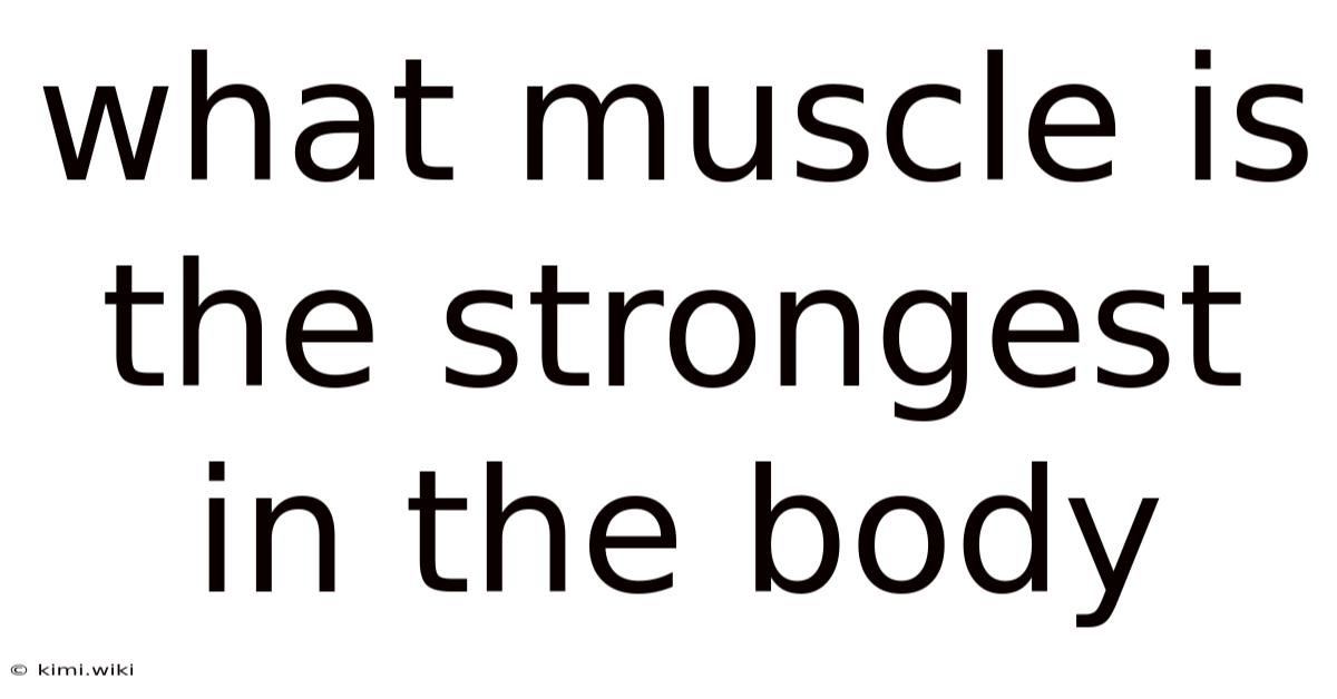 What Muscle Is The Strongest In The Body
