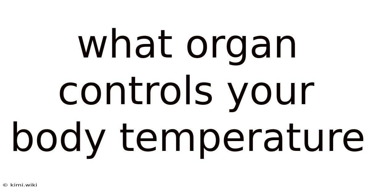 What Organ Controls Your Body Temperature