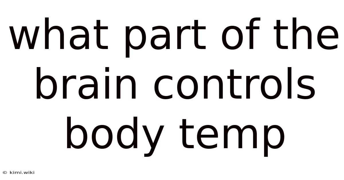 What Part Of The Brain Controls Body Temp