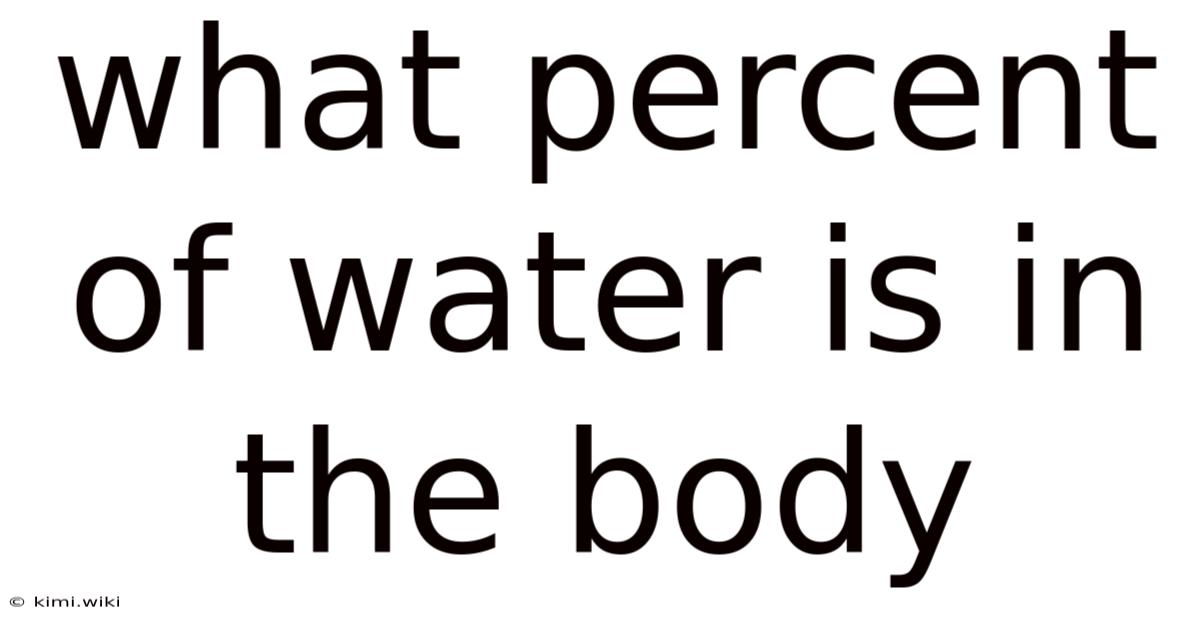 What Percent Of Water Is In The Body