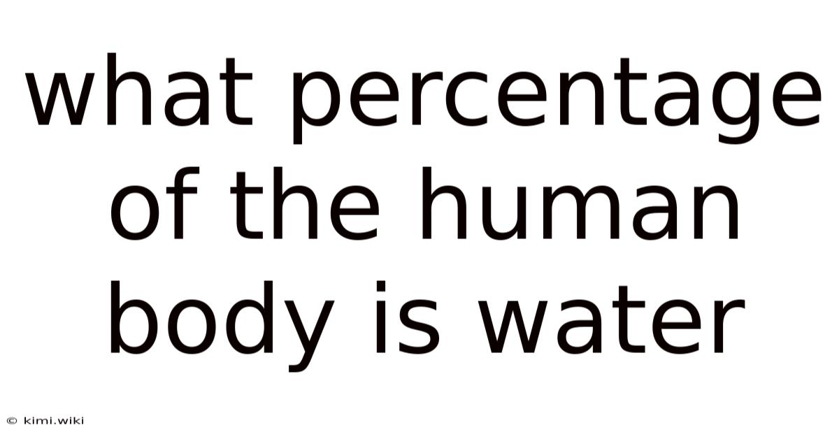 What Percentage Of The Human Body Is Water