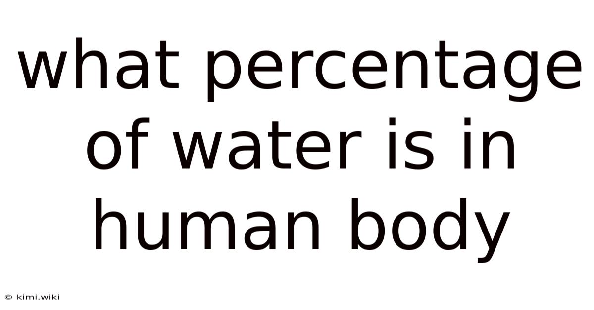 What Percentage Of Water Is In Human Body