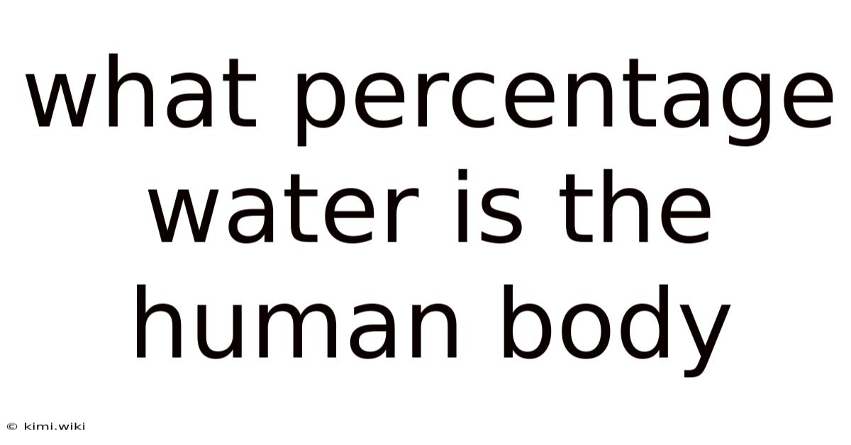 What Percentage Water Is The Human Body