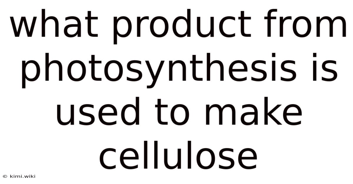 What Product From Photosynthesis Is Used To Make Cellulose