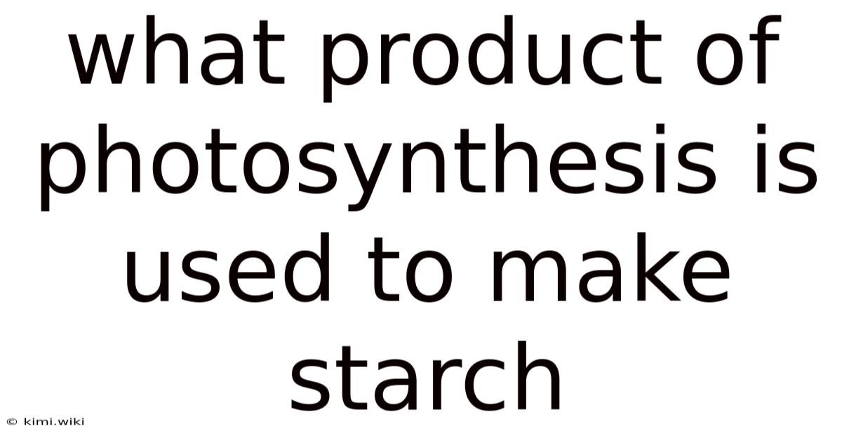 What Product Of Photosynthesis Is Used To Make Starch