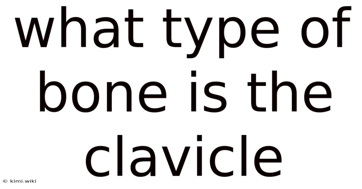 What Type Of Bone Is The Clavicle