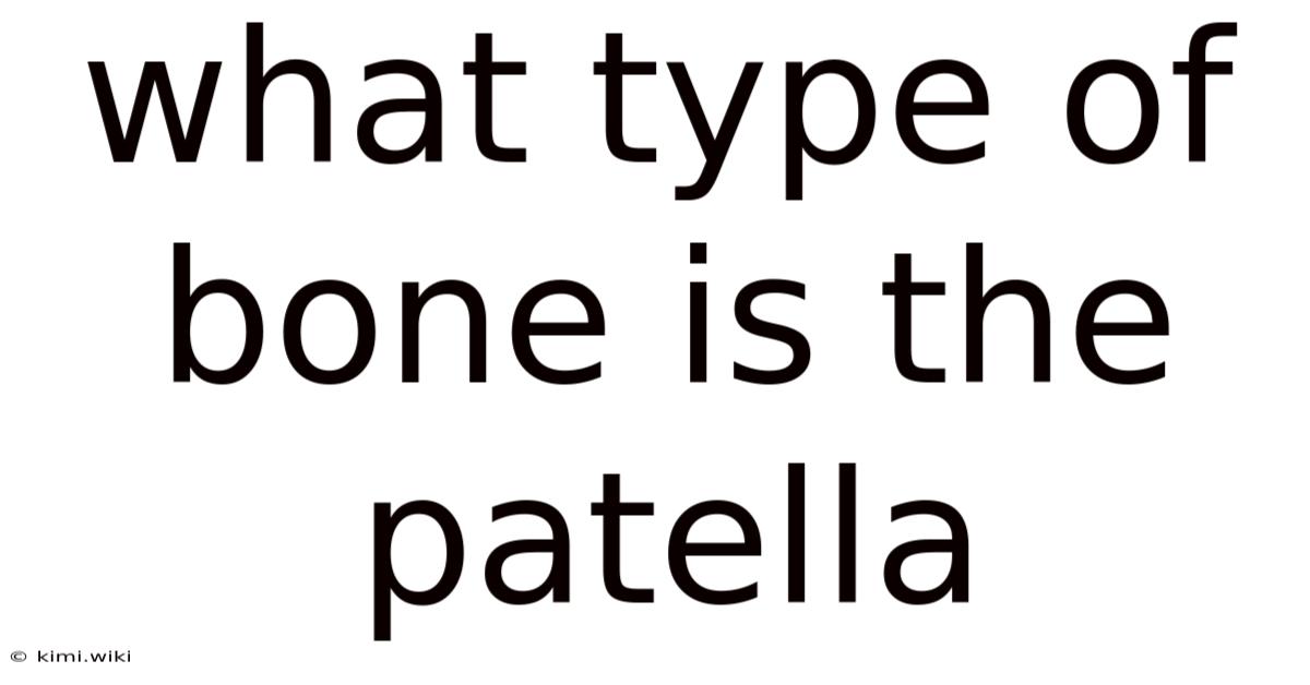 What Type Of Bone Is The Patella