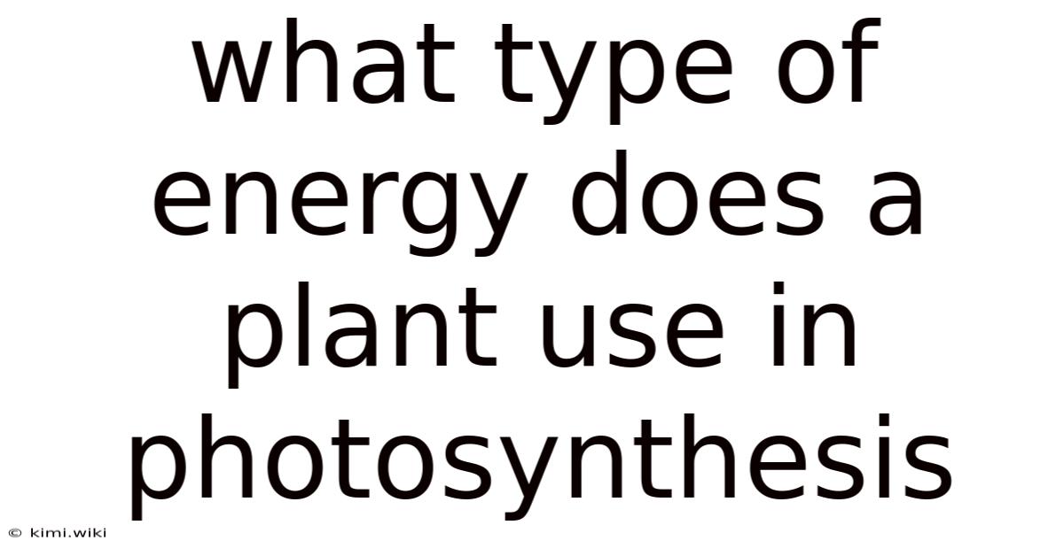 What Type Of Energy Does A Plant Use In Photosynthesis
