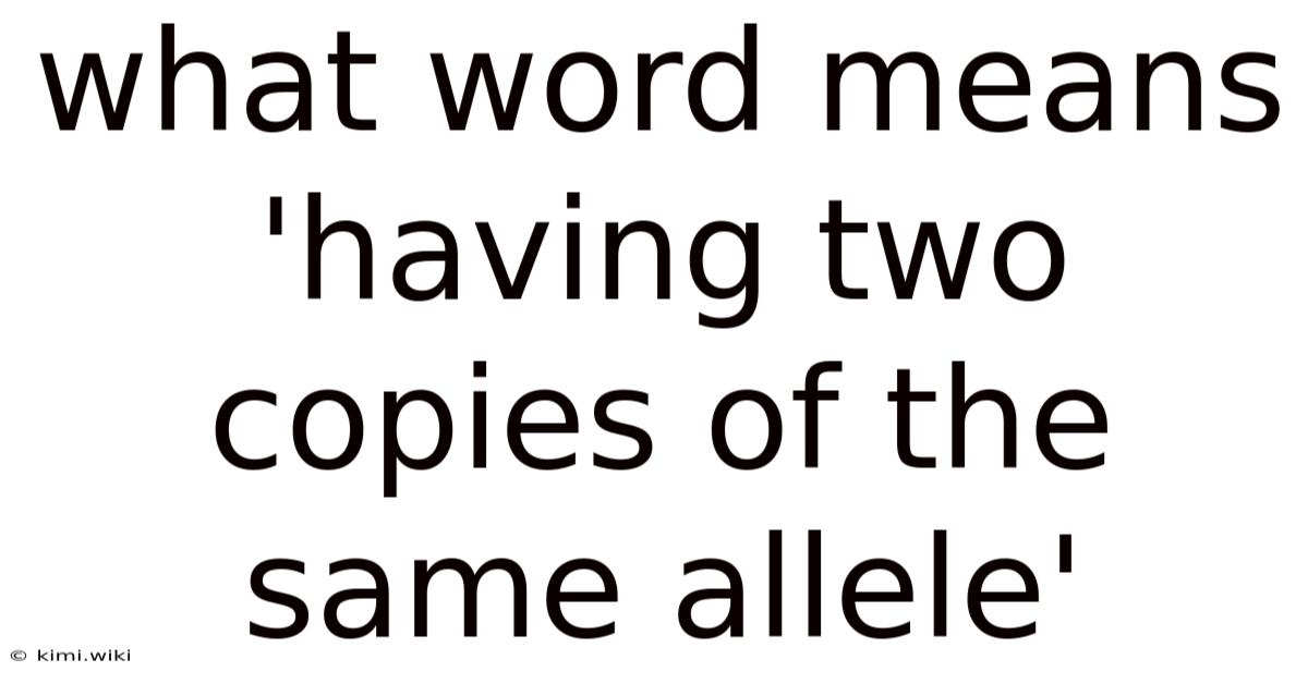 What Word Means 'having Two Copies Of The Same Allele'