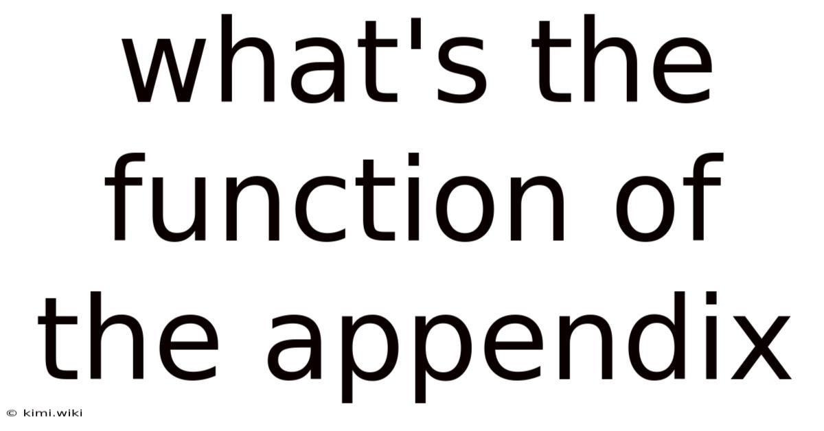 What's The Function Of The Appendix