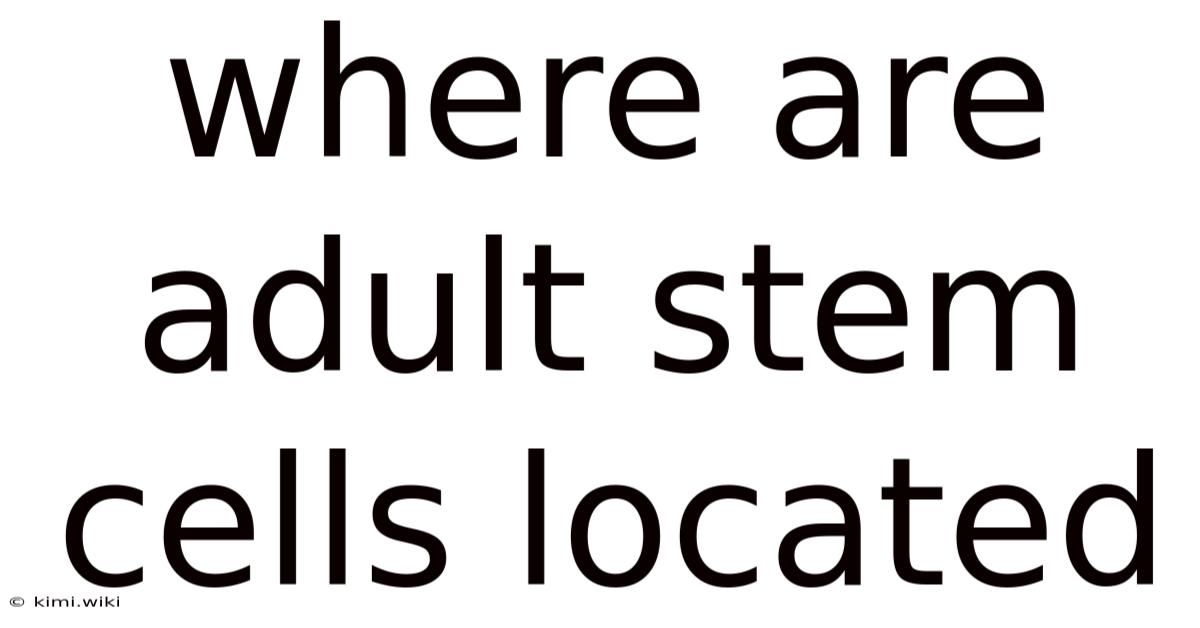 Where Are Adult Stem Cells Located