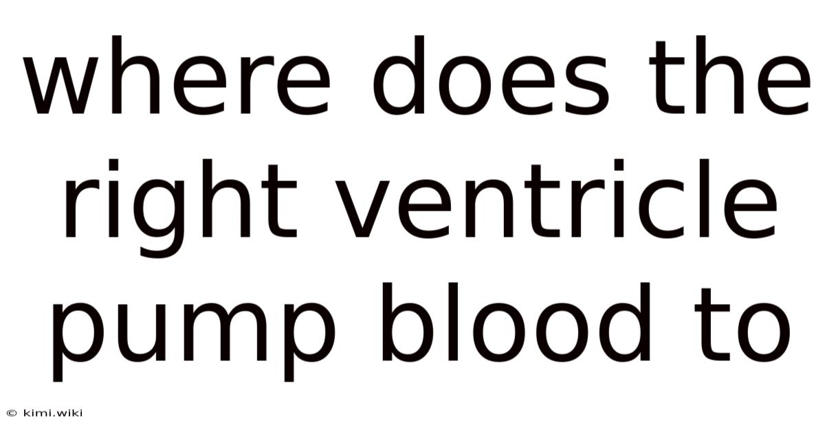 Where Does The Right Ventricle Pump Blood To