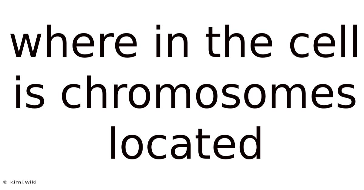 Where In The Cell Is Chromosomes Located