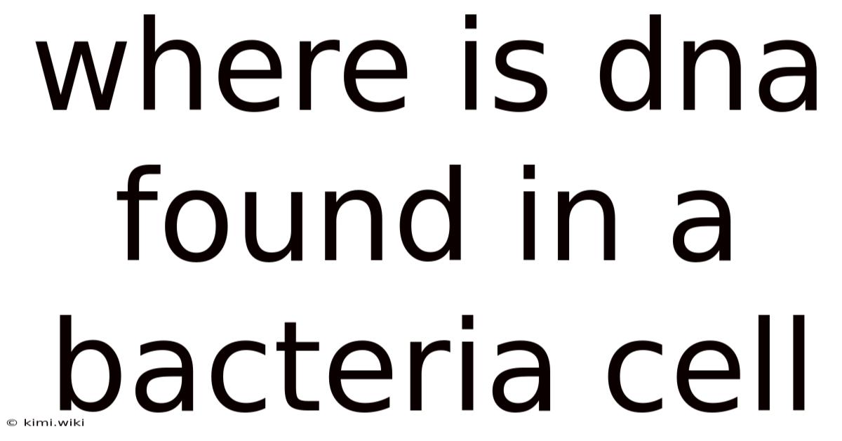 Where Is Dna Found In A Bacteria Cell