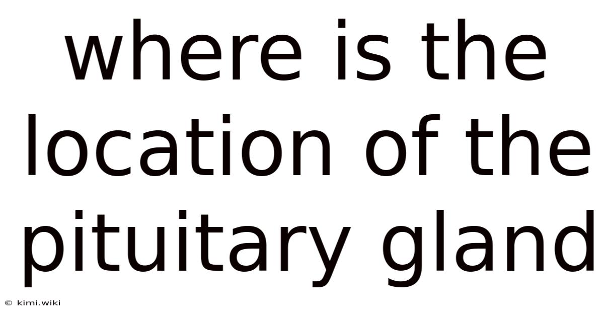 Where Is The Location Of The Pituitary Gland