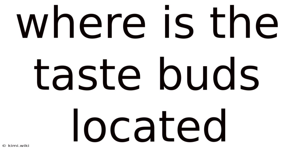 Where Is The Taste Buds Located