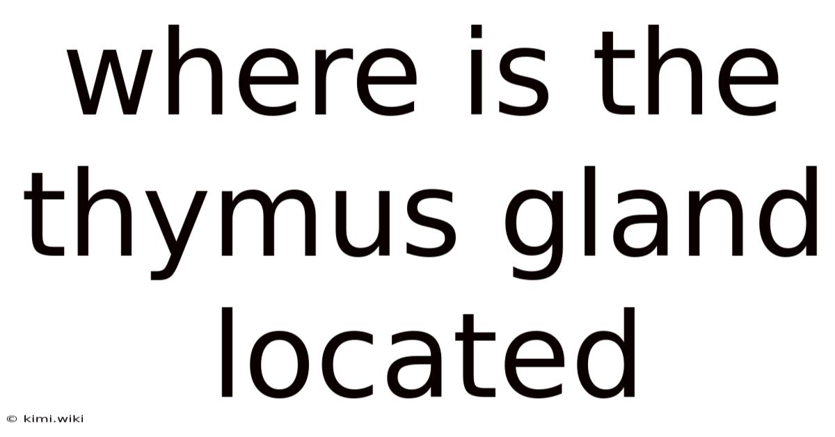 Where Is The Thymus Gland Located