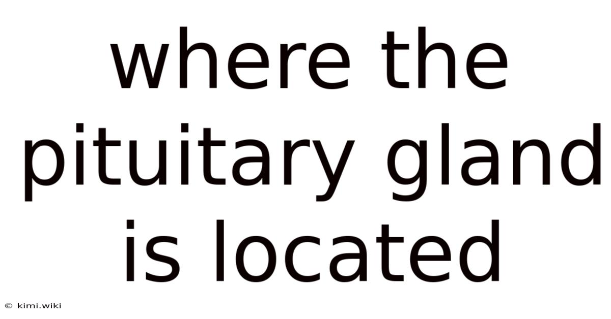 Where The Pituitary Gland Is Located