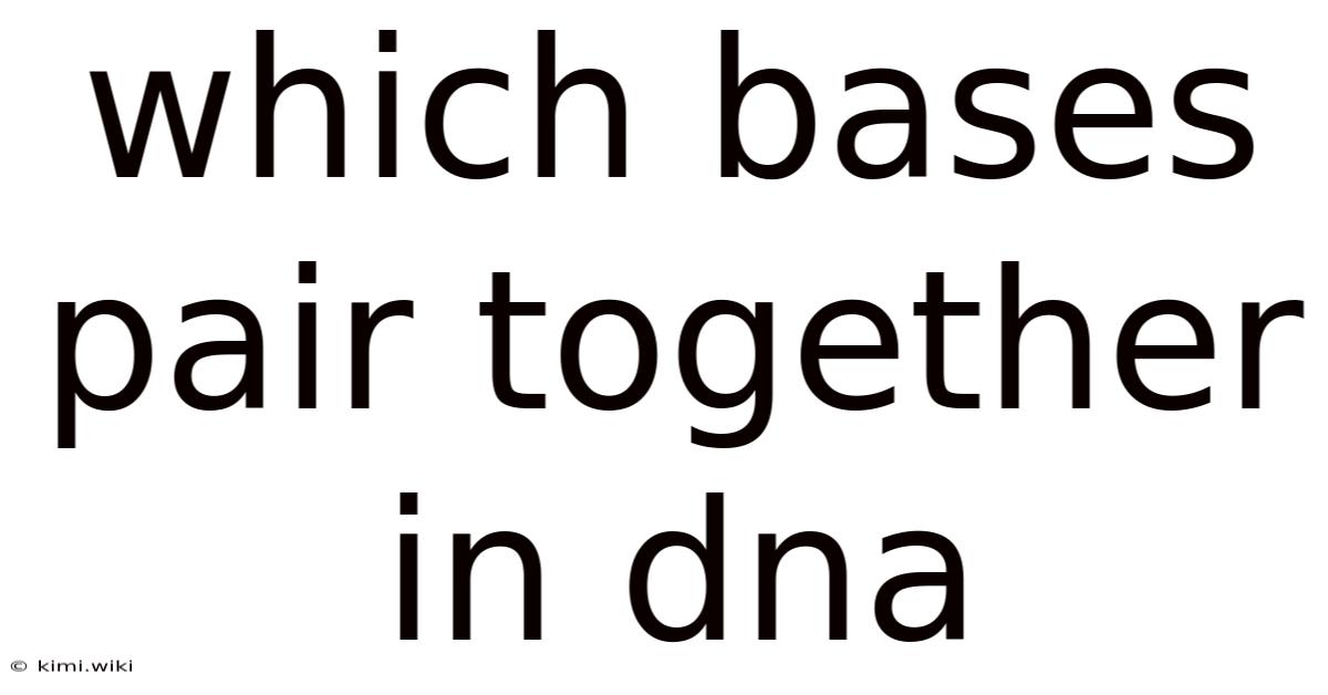 Which Bases Pair Together In Dna