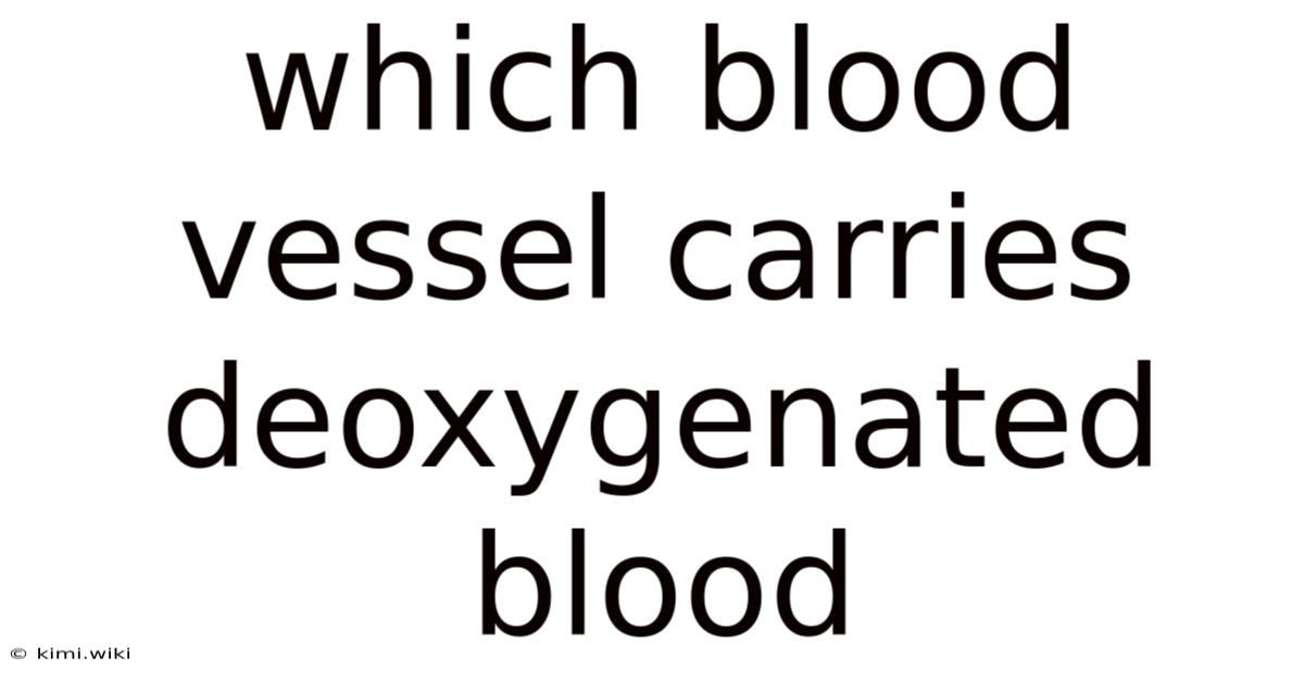 Which Blood Vessel Carries Deoxygenated Blood