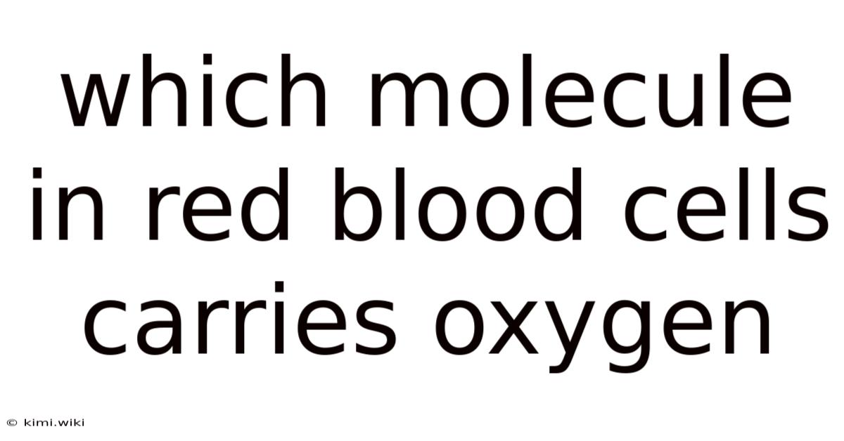 Which Molecule In Red Blood Cells Carries Oxygen