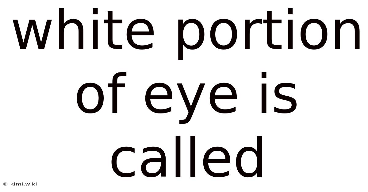 White Portion Of Eye Is Called