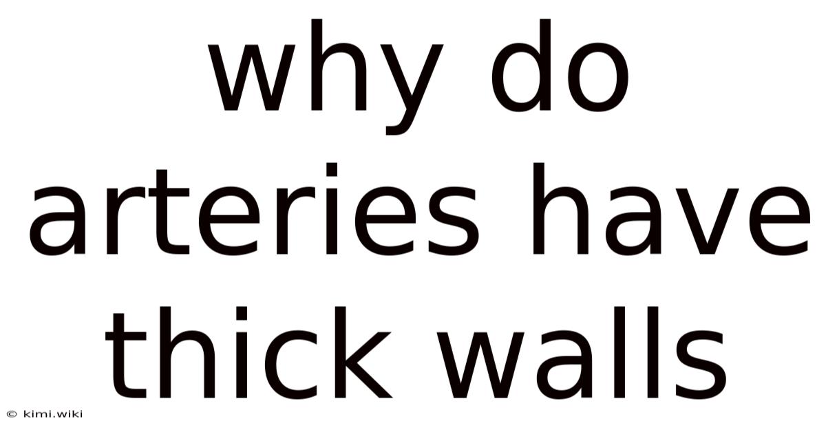 Why Do Arteries Have Thick Walls