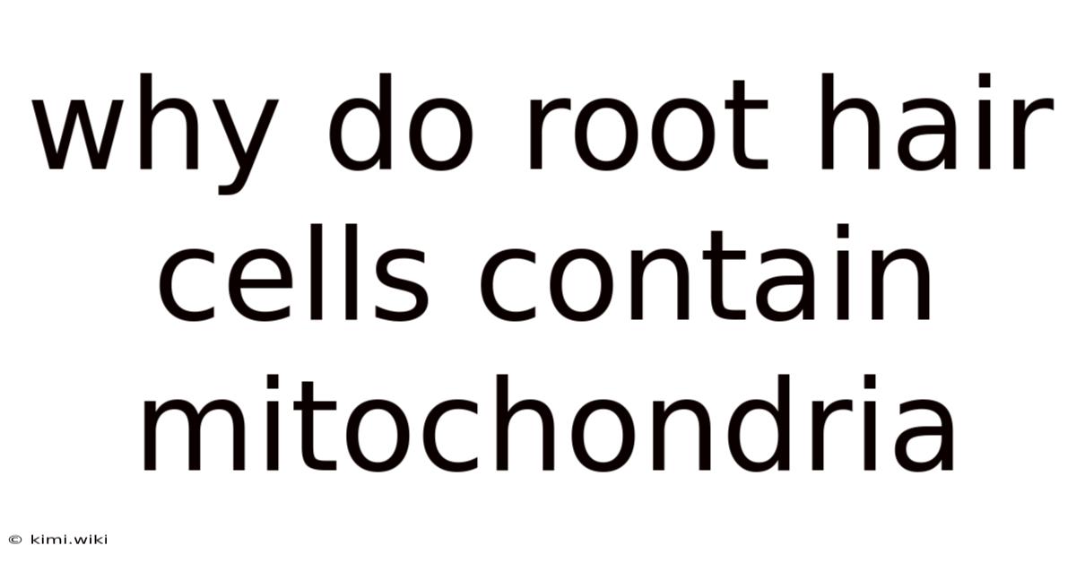 Why Do Root Hair Cells Contain Mitochondria