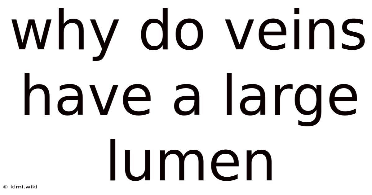 Why Do Veins Have A Large Lumen