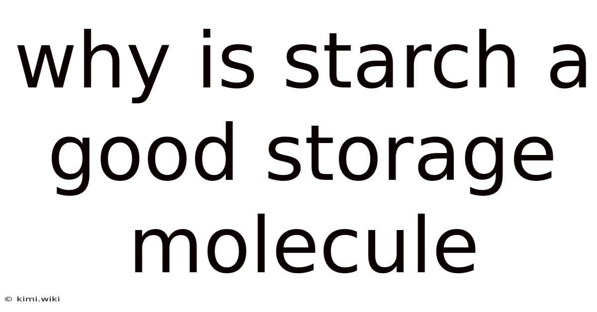 Why Is Starch A Good Storage Molecule